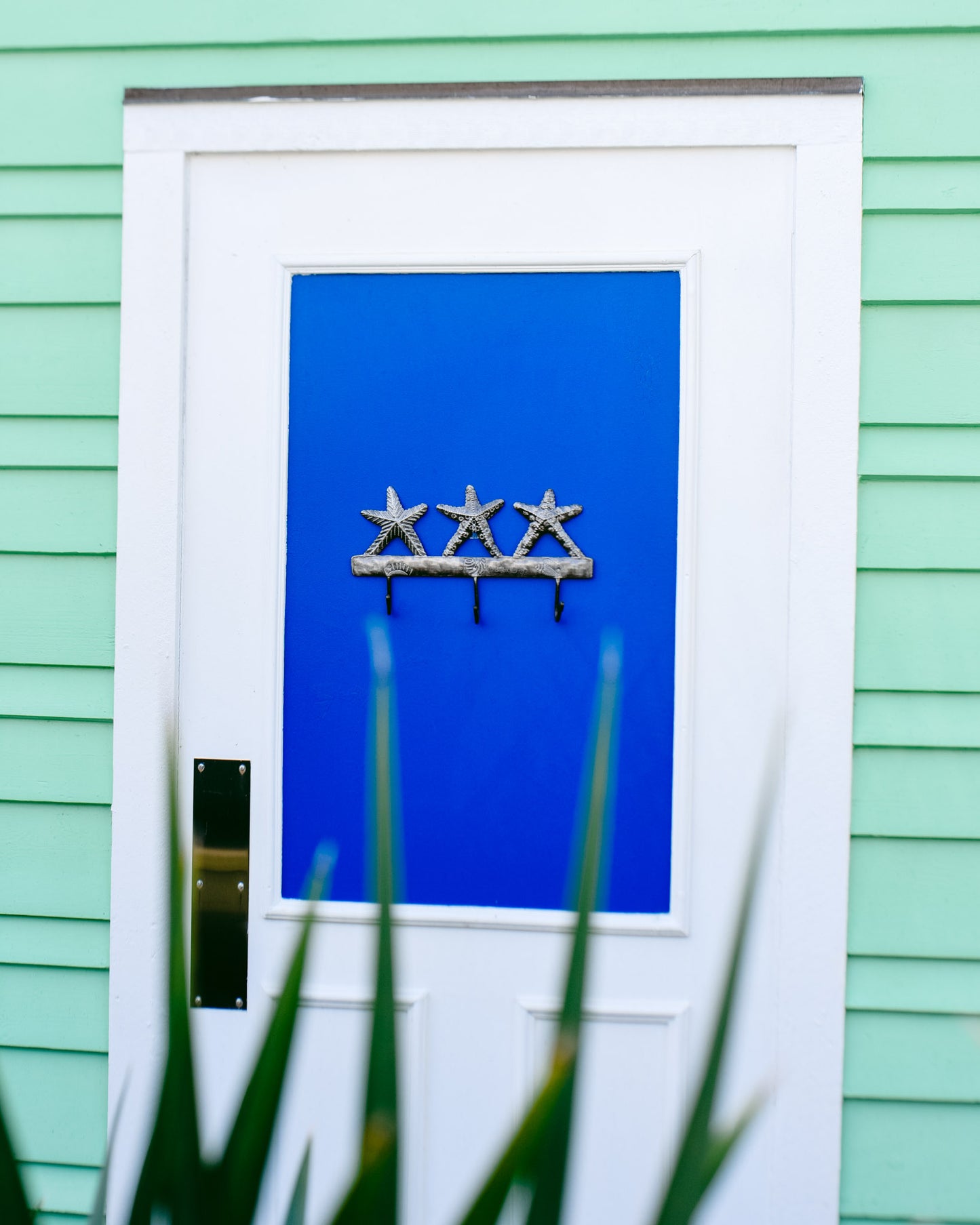 Sea Stars Triple Hook 3D