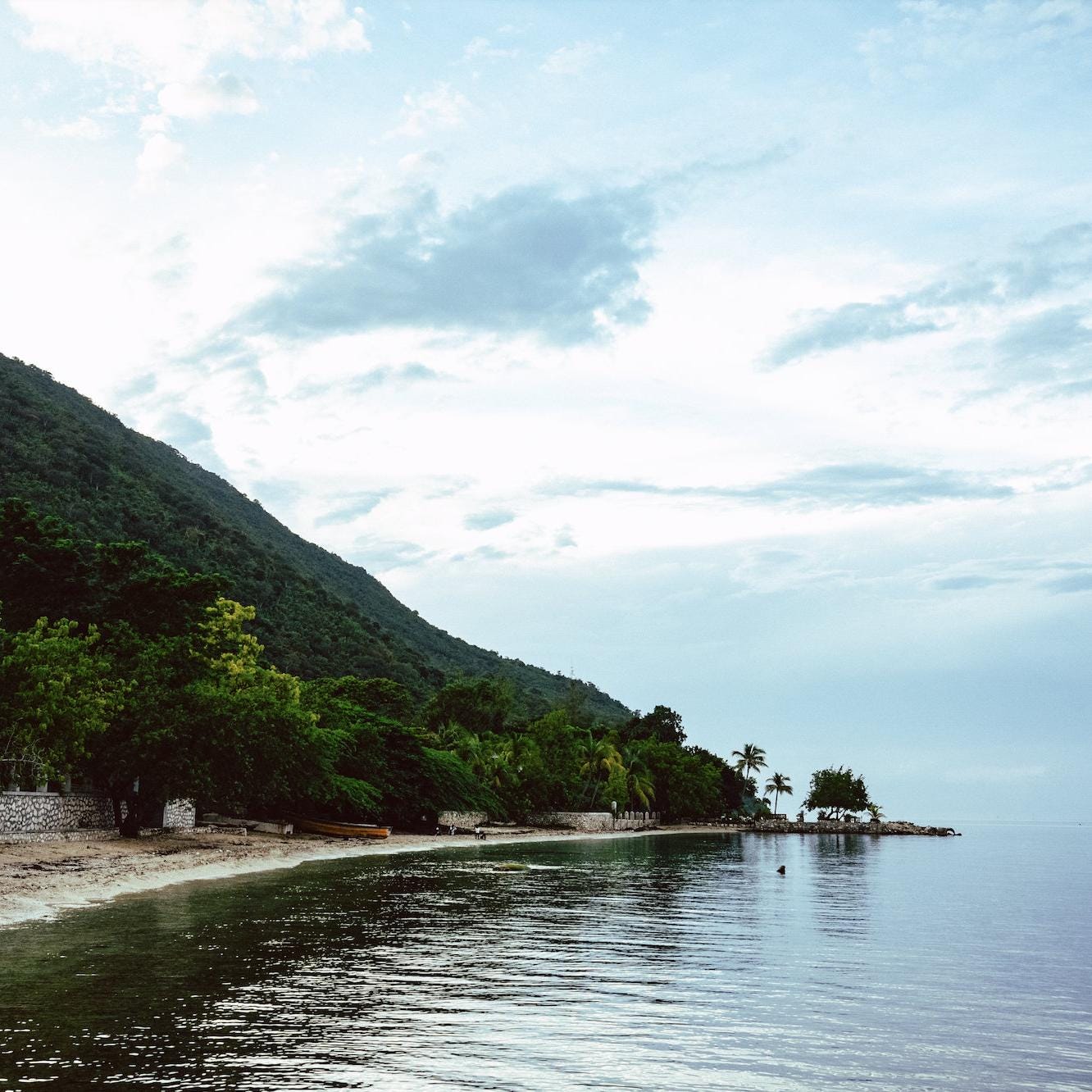 Travelers Tree Metal, Wall Art. Handmade in Haiti. Recycled Metal. Housewarming Gifts. Home, Patio, and Garden Decor. Outdoor/Indoor.