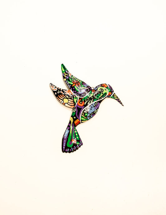 Vivid Hummingbird